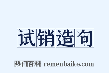 试销造句是什么意思的图片